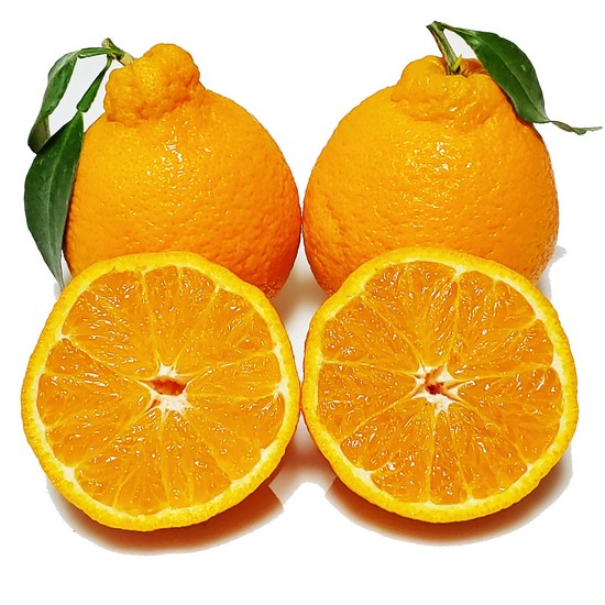 못난이과일 완벽 가이드: 맛은 그대로, 가격은 더욱 착하게!  (FAQ & 문제 해결 포함)