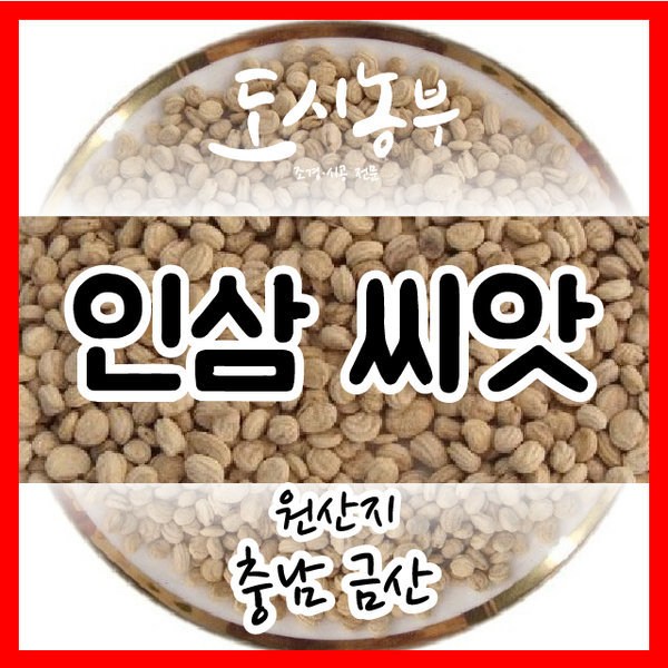 금산도시농부: 싱싱한 도시농업의 즐거움을 당신의 삶에 더하다