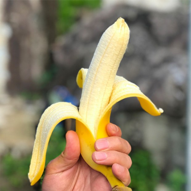 4f1c8ac01e7d0595c9ed6bd62e6eb1f9d3349b6a680d00a3e8ed8e481297.jpg
