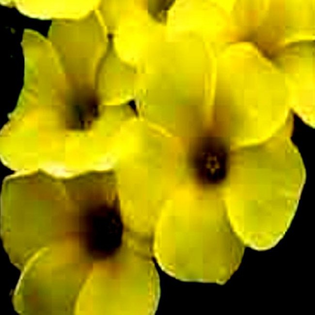 afcf5d17188de3f9d74a67bef088f768ef336d8602213e8ec0c527d29b06.jpg