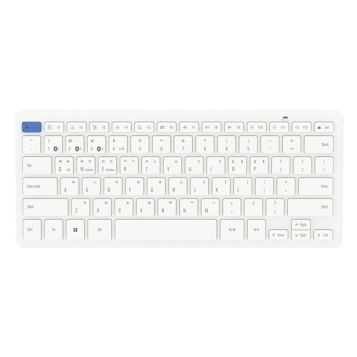 엑토 슬림 키스킨 블루투스 무선 겸용 텐키리스 키보드, 화이트, BTK12