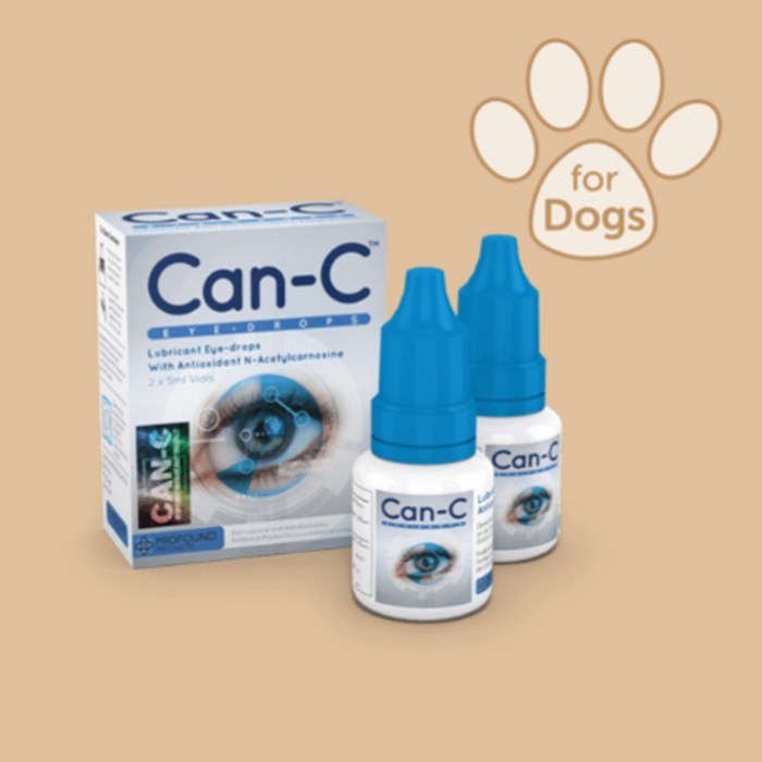 국내발송 CanC 강아지 Eye Drops 5ml X 2ea Canc 강아지 백내장 강아지 안약 강아지 눈 혼탁 CanC 안약 캔씨 캔씨 안약 국내발송 CanC 강아지 Eye Drops 5ml X 2ea Canc 강아지 백내장 강아지 안약 강아지 눈 혼탁 CanC 안약 캔씨 캔씨 안약
