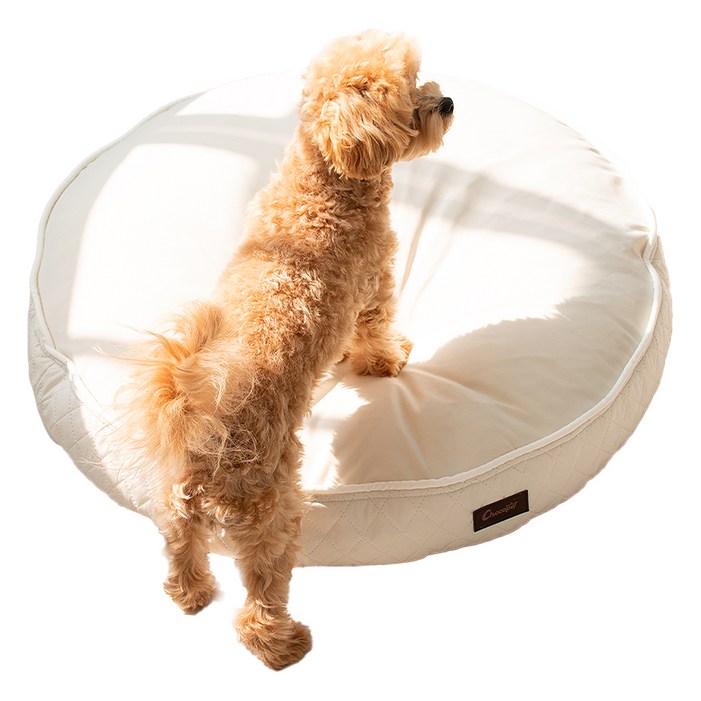 초코펫하우스 강아지 쿠션 무중력 우주 방석 2.0, 아이보리, 1개