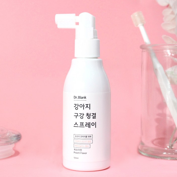 닥터블랭크 강아지 구강청결 구취제거 스프레이 복숭아향, 120ml, 1개