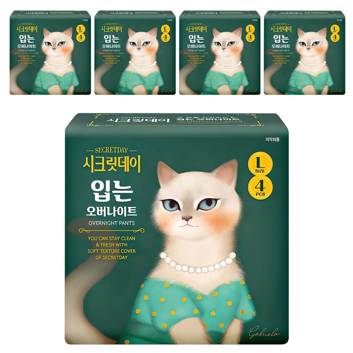 시크릿데이 입는 오버나이트 팬티형, 대형, 4개입, 5개