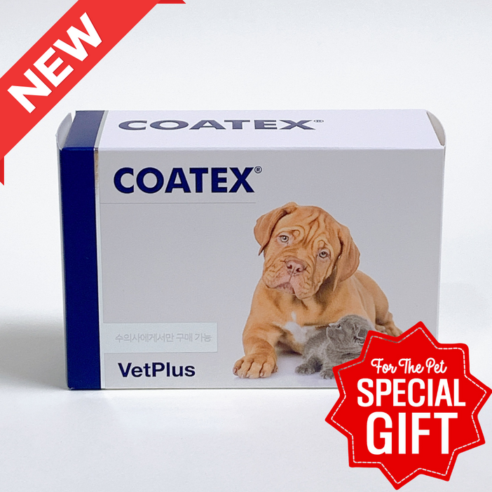 포베츠 코텍스 블리스터(COATEX) 60캡슐