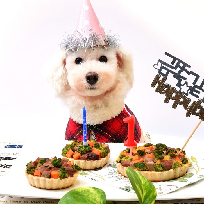 내새끼맘마강아지 타르트 미니, 대사이즈 NO밀가루  NO우유  NO쌀가루  강아지케이크  강아지간식  고양이간식  애견간식  강아지수제간식  강아지생일