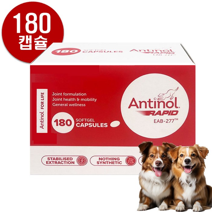 안티놀 래피드 180캡슐 EAB-277 강아지관절약