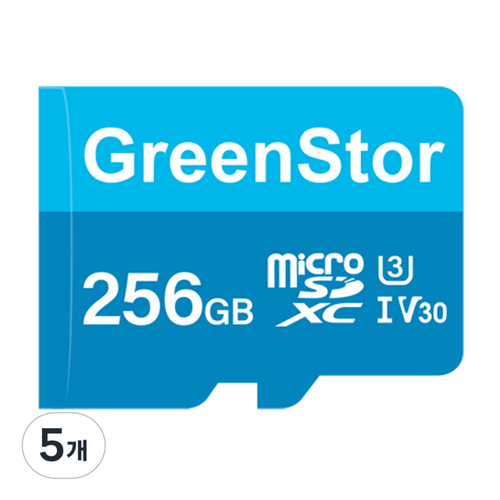 그린스토아 메모리카드 마이크로 SD카드 블랙박스전용, 5개, 256GB
