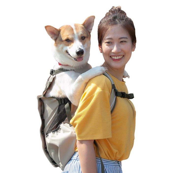 어부바 라이트2 강아지 견체공학 배낭 캐리어 슬링백 어부바 라이트2 강아지 견체공학 배낭 캐리어 슬링백