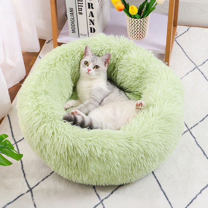 미스터킴 강아지 도넛 마약 방석 고양이 대형 쿠션 60cm, 아보카도그린 미스터킴 강아지 도넛 마약 방석 고양이 대형 쿠션 60cm, 아보카도그린