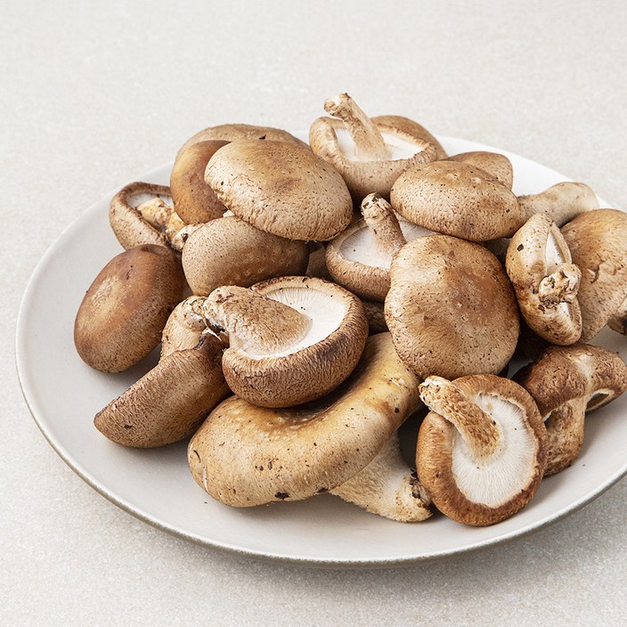 [로켓프레시] 못생겨도 맛있는 표고버섯