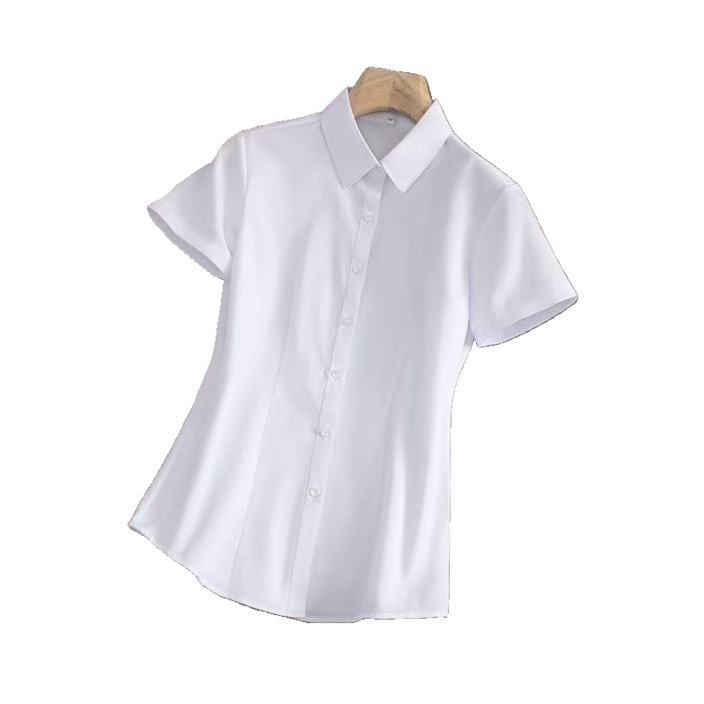 여성용 빅 사이즈 면접 유니폼 남방 심플 슬림핏 블라우스 반팔셔츠 뉴타임즈 02CW2501