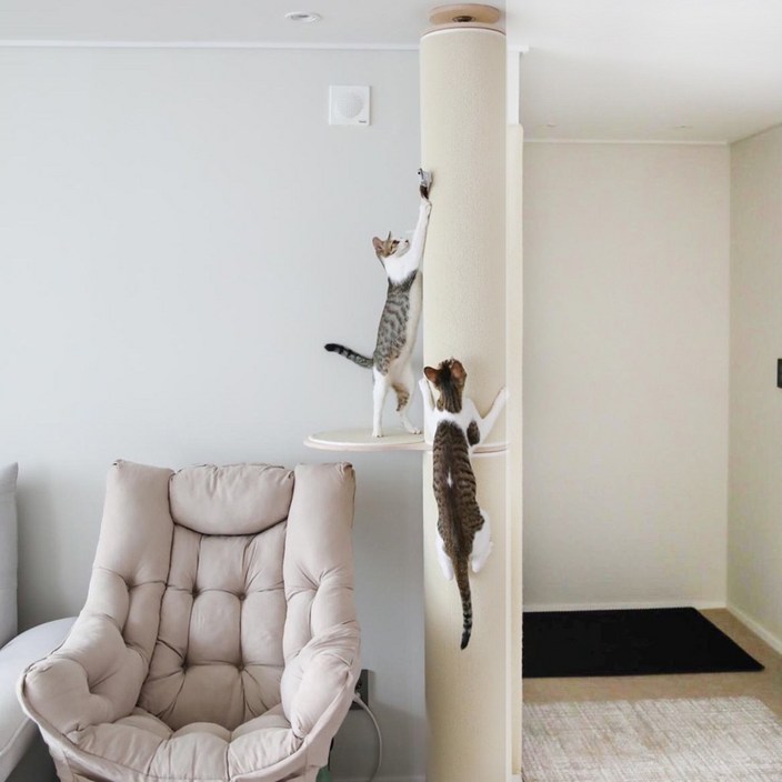 캣트럴파크 고양이 수직 스크래쳐 원목 캣타워 캣폴 본능적타워 2단 발판1개 226cm245cm, 1세트, 아이보리