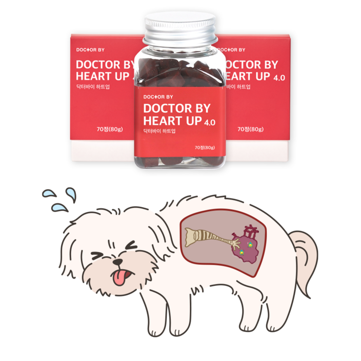 닥터바이 하트업 강아지 심장 면역 특허영양제