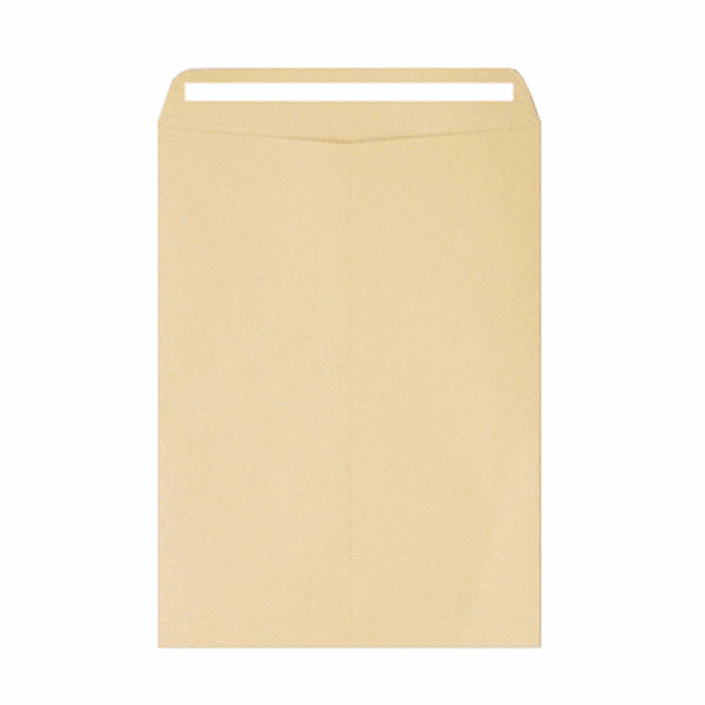 접착형 테이프 서류봉투 245 x 330 mm, A4, 100개