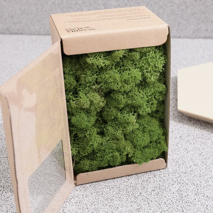 스칸디아모스 이끼 미디엄그린 500g