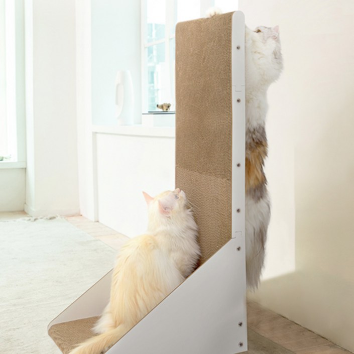 펫펫펫 고양이 스크래쳐 수직형, 1개, 단일색상