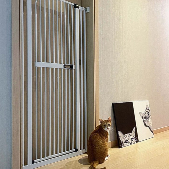 아토주 가두리 펫 안전문, 화이트, 1개