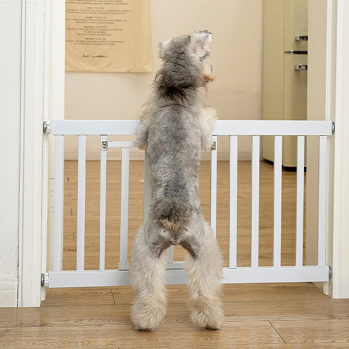 21세기트랜드 마이펫 들랑날랑 안전문 도어형 스타일, 화이트, 1개
