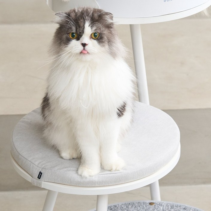 두잇 미니캣타워 2층라운드 쿠션 벨트형  높이 3cm, 1개, 라이트그레이