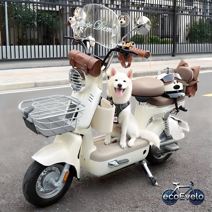 에코e벨로 전기자전거 미니 전동스쿠터 여친 전기 자전거 통학용 등하원용 엄마생일선물