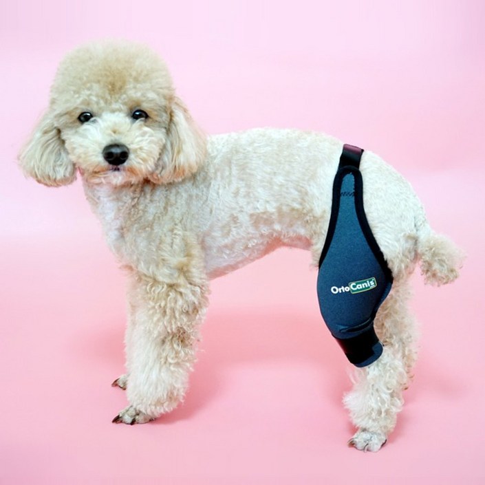 미라이프 오르토카니스 강아지슬개골보호대 동물용의료기기 십자인대 무릎 슬개골탈구 보호대 ORT003, 1개