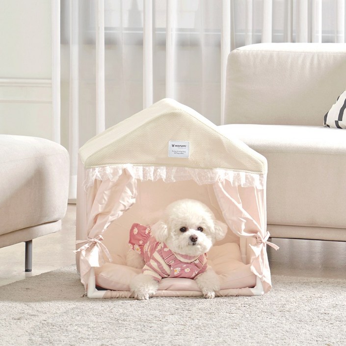 개과천선 프린세스 강아지 하우스 애견 꿀잠 숨숨집 예쁜 프릴 커튼 공주 베이지, 베이지, 1개