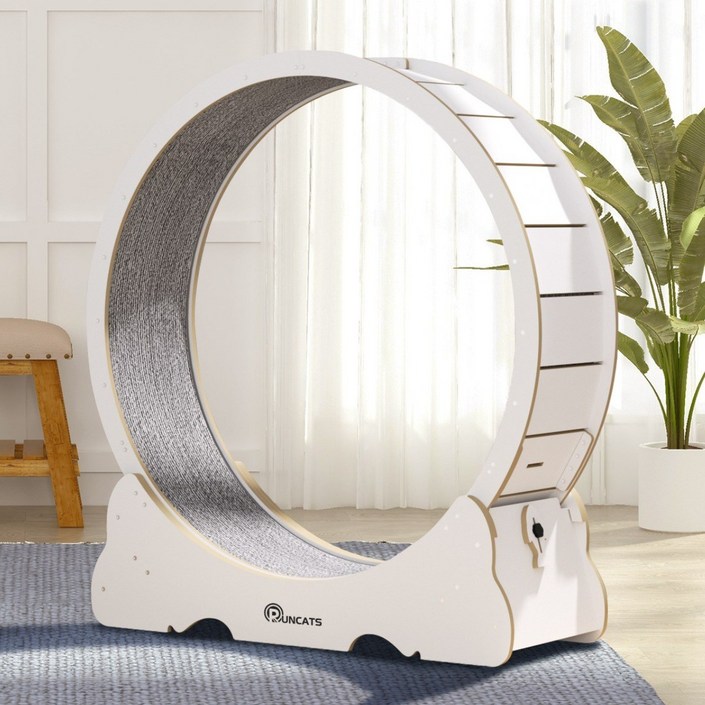 런캣 캣휠 롤러 실내사용 고양이 운동훈련 헬스 캣휠 원목색 다양한