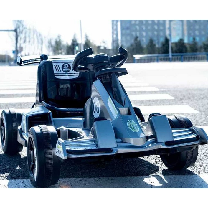 레이싱카트 고카트 전동 루지 1인 카트라이더 레이싱