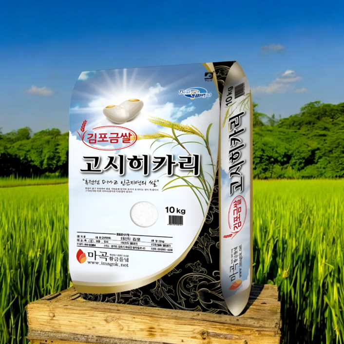 [예약판매 시작] 2025년산 햅쌀 가정용 백미 [ 김포 금쌀 고시히카리 쌀 ] 순차적 출고, 상등급, 1세트, 10kg
