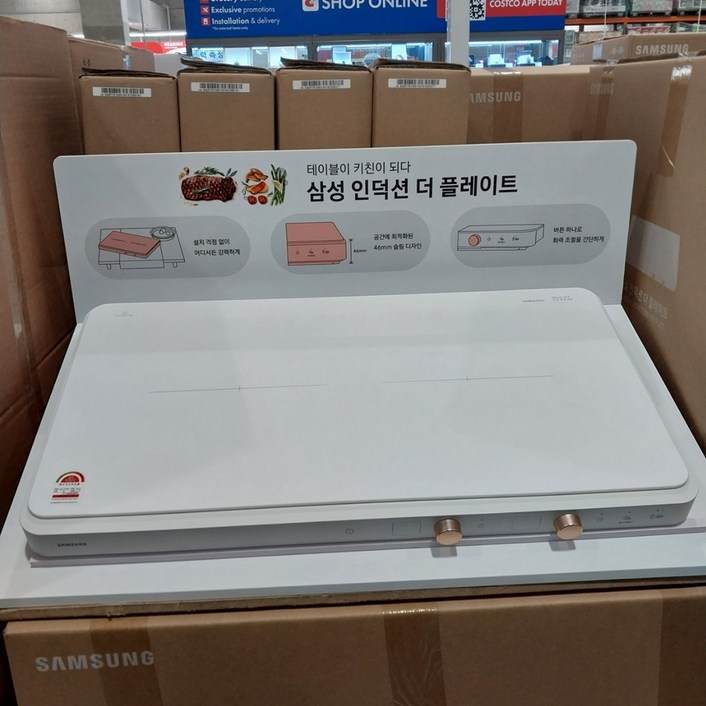 삼성 더 플레이트 2구 인덕션 NZ62DG300CFW 화이트