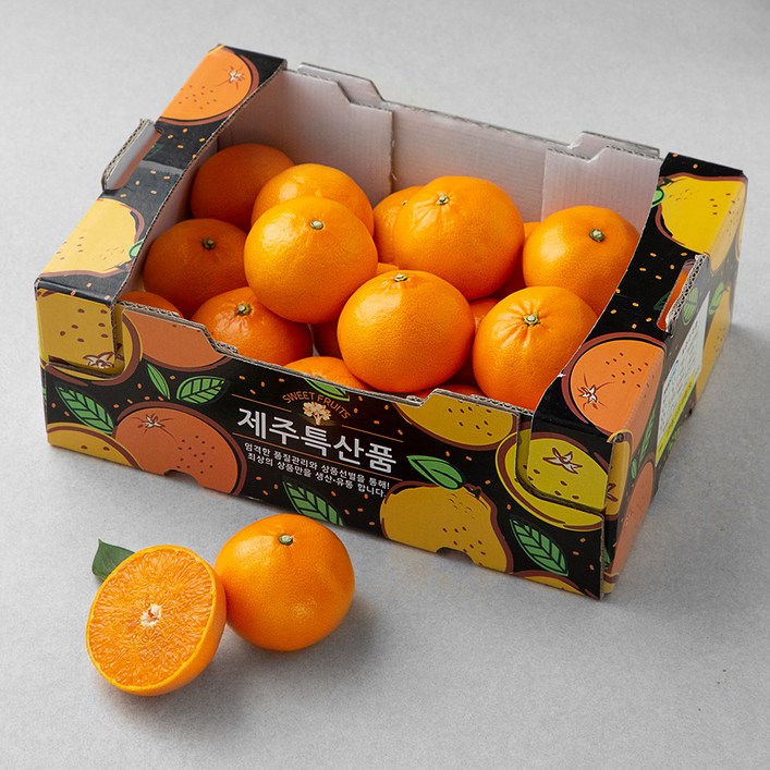 로켓프레시 귤탐 천혜향