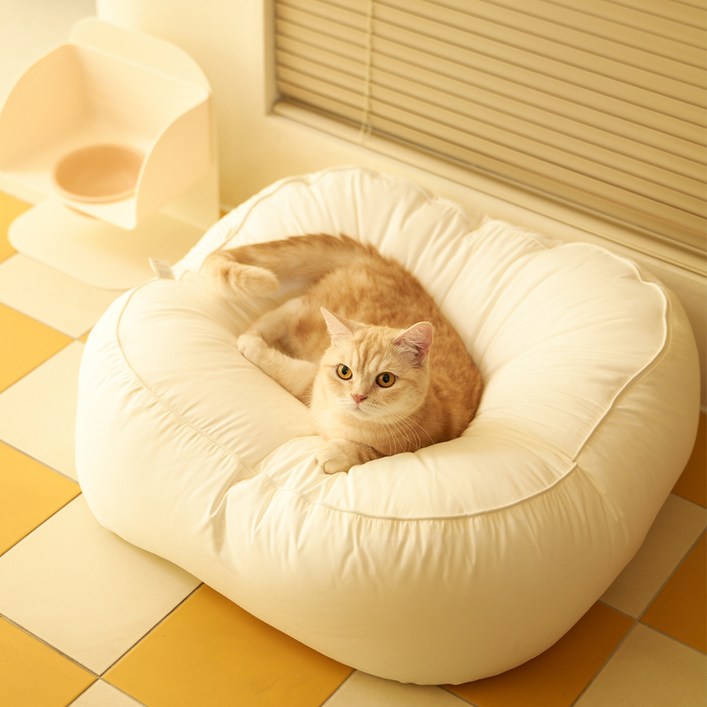 아르르 고양이 꿀잠 해먹방석 모달 Ver, 바닐라 아이보리, 1개
