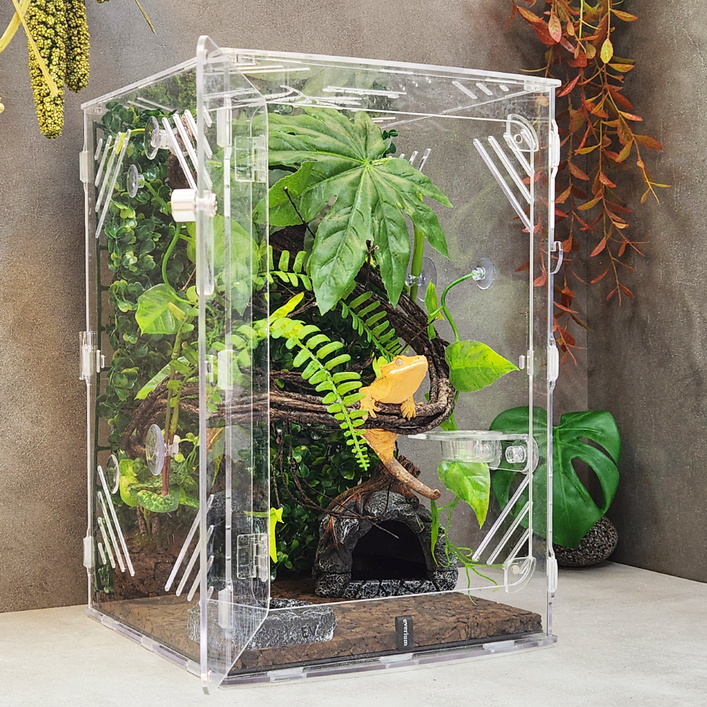 에버리움 크레스티드 게코 도마뱀 아크릴 사육장 세트  중형 24x24x36cm