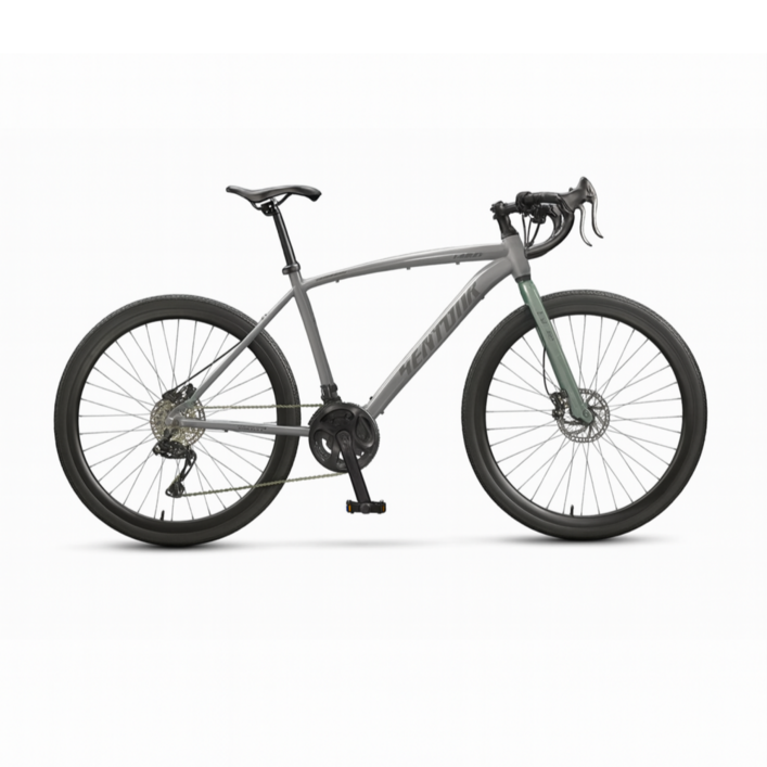 루니브 가벼운 입문용 출퇴근 학생 성인용 24단 로드 자전거, 1개, 155cm, 라이트그레이