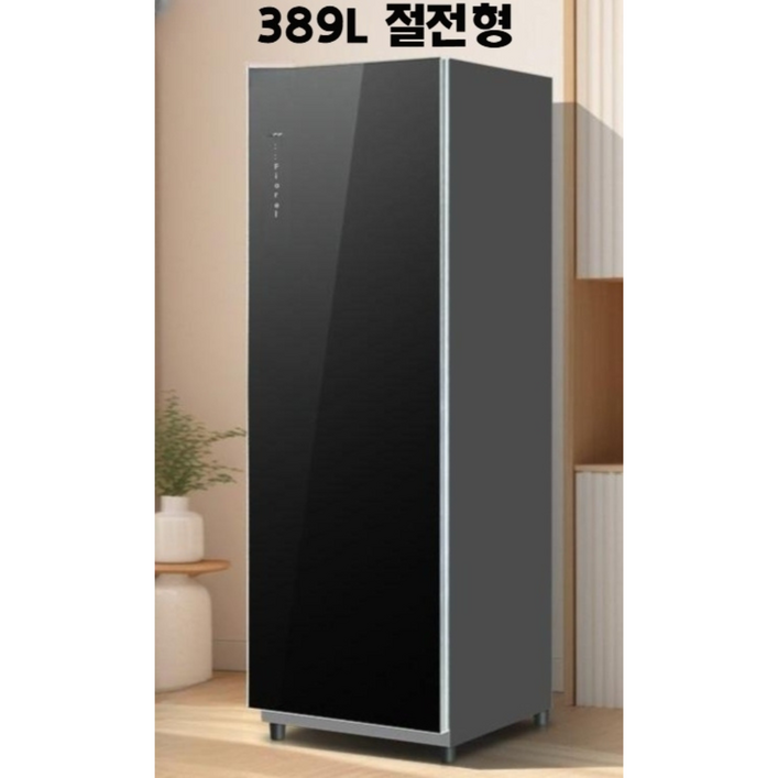 딜릿 고효율 초절전 의류관리기 건조 드라이 미세먼지 세균 냄세제거, 블랙, 389 절전형