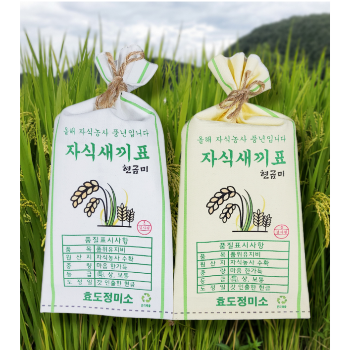 흥작가 쌀포대 용돈봉투 자식농사 풍년 생일 생신 설날 추석 어버이날 부모님 용돈이벤트, 황색벼모양 쌀포대, 1개
