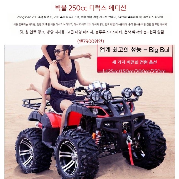 사륜오토바이 산악 오프로드 ATV 사발이 운반차, Big Bull 250 수냉식 디럭스 에디션 사륜오토바이 산악 오프로드 ATV 사발이 운반차, Big Bull 250 수냉식 디럭스 에디션