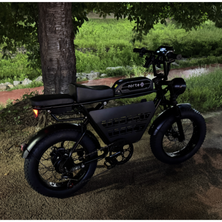 노르테 전기 자전거 자토바이 전동 스쿠터 팻바이크 MTB 배달용 출퇴근용, Y1 럭셔리, 스틸