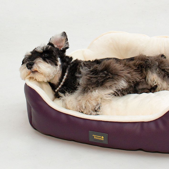 초코펫하우스 강아지 방석 쿠션 침대 로얄 사각 방석 2.0, 퍼플