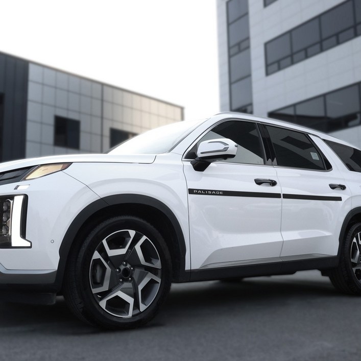 차이룸 더뉴 팰리세이드 호환 사이드 도어가드 튜닝 용품