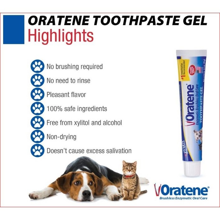 자이목스 오라틴 투페이스트 치약젤 반려견 70g Pet King Brands Oratene Brushless Toothpaste Gel
