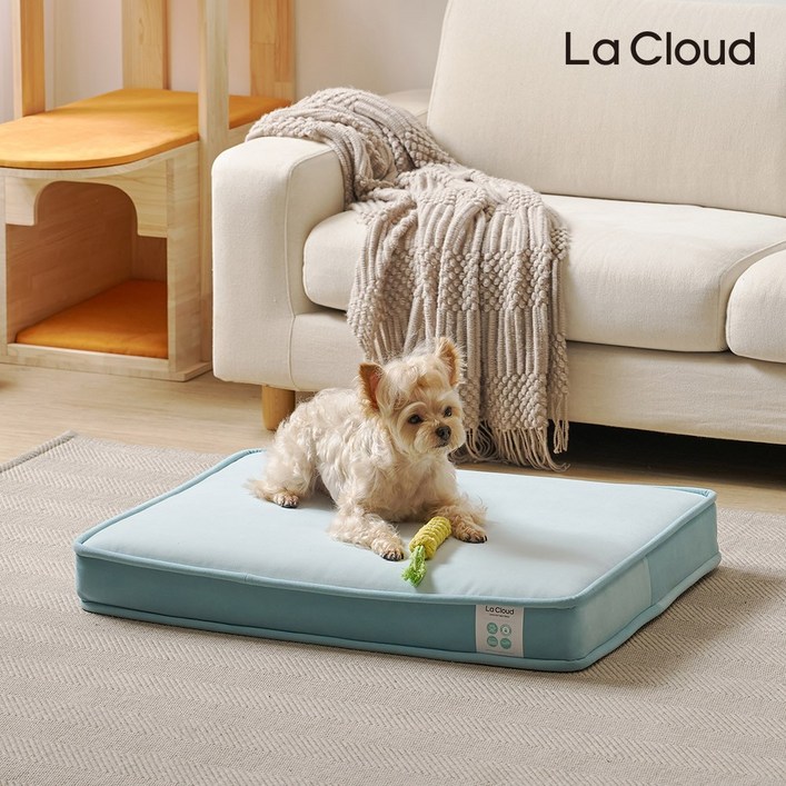 라클라우드  몽실 강아지 고양이 쿠션 사각 라텍스 매트리스 펫방석 펫베드, 1개, 스카이