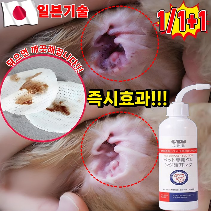 [국내배송] 1/1+1 강아지 귀 세정제 귀염 고양이 귀청소 외이염 귀냄새 제거 클리너 진드기 살균율99.9999% 포장 랜덤 증정