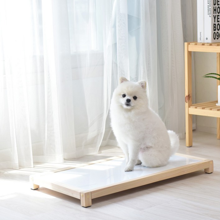 힘을내요집사 편백나무원목 강아지 고양이 대리석 쿨매트 아이스팩, 유광, 1개