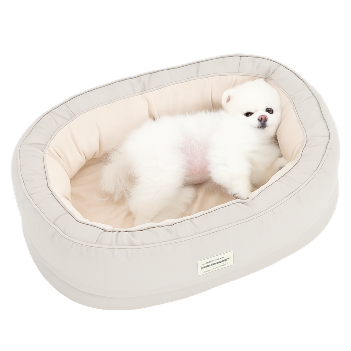 옥희독희 반려동물 꿀몬스 방석