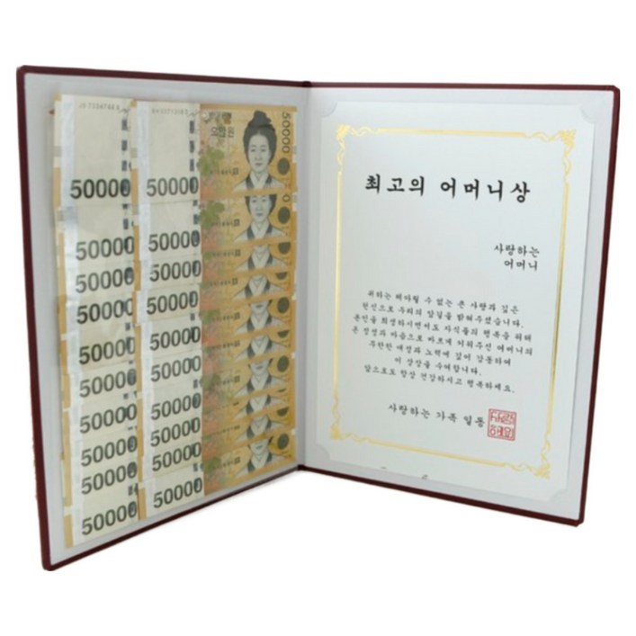 부모님 상장 용돈선물 어버이날 생일선물 어머니 아버지 감사장 YOUR LUCK 상장케이스, 1개, 최고의 어머니상