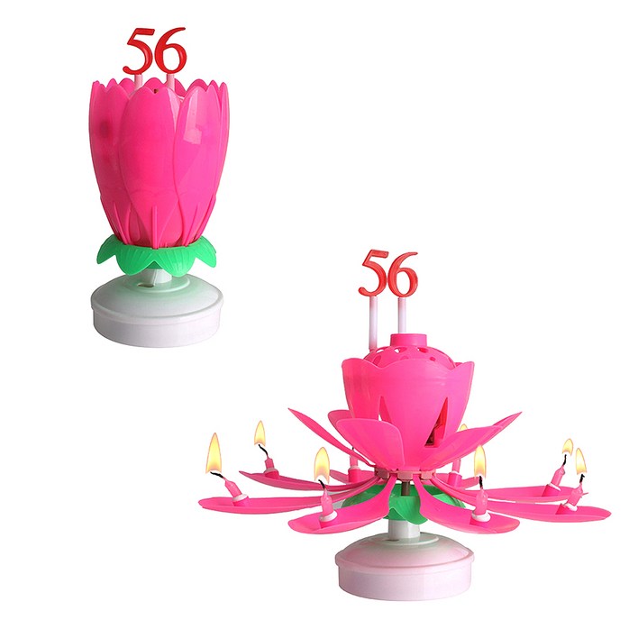 파티라이프 회전 멜로디 생일축하 숫자 연꽃초 + 숫자세트 2p 특이한초
