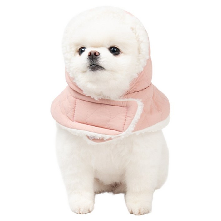 초코펫하우스 강아지 산책왕 패딩 귀돌이 모자